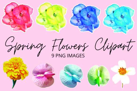 Download Colourful Spring Flowers Clipart Set - Set Collection